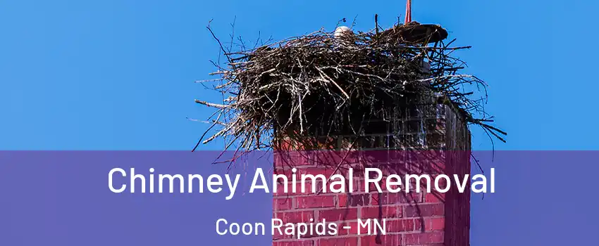 Chimney Animal Removal Coon Rapids - MN