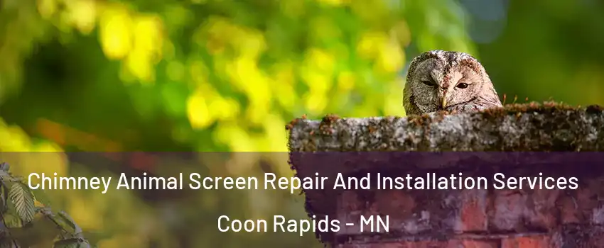  Chimney Animal Screen Repair And Installation Services Coon Rapids - MN