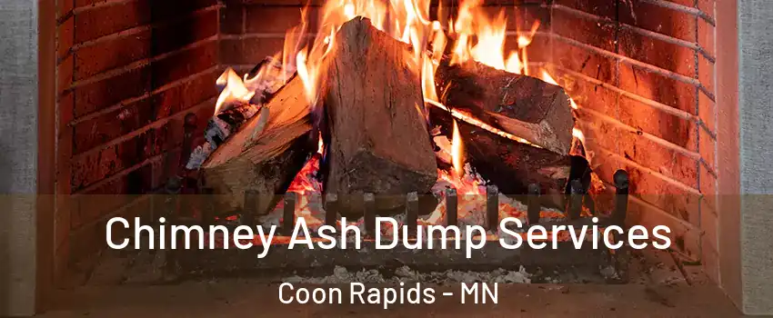  Chimney Ash Dump Services Coon Rapids - MN