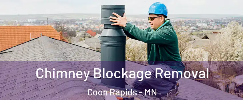  Chimney Blockage Removal Coon Rapids - MN