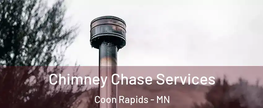 Chimney Chase Services Coon Rapids - MN