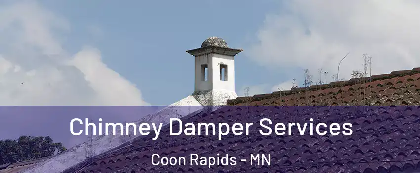  Chimney Damper Services Coon Rapids - MN