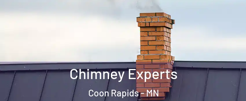 Chimney Experts Coon Rapids - MN