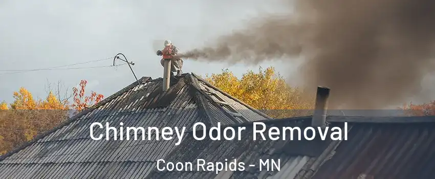  Chimney Odor Removal Coon Rapids - MN