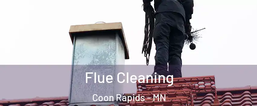 Flue Cleaning Coon Rapids - MN