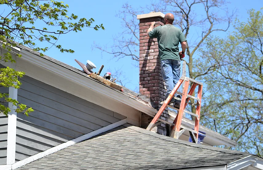 Chimney & Fireplace Inspections Services in Coon Rapids, MN