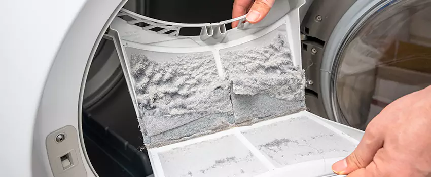 Best Dryer Lint Removal Company in Coon Rapids, Minnesota