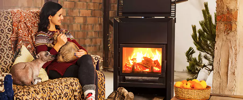 Wood Stove Chimney Cleaning Services in Coon Rapids, MN