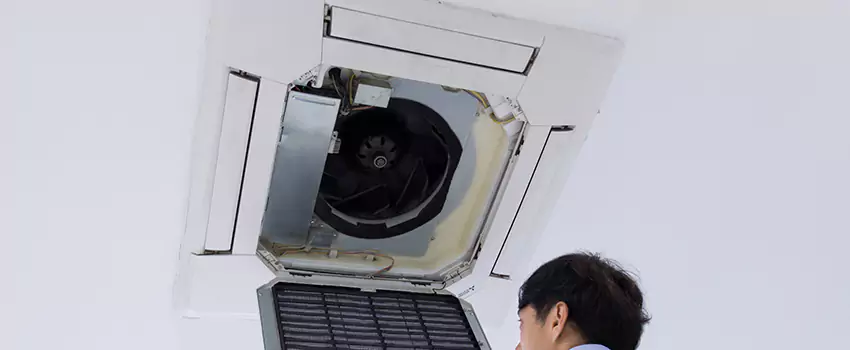 Benefits of Professional Air Duct Cleaning in Coon Rapids, Minnesota