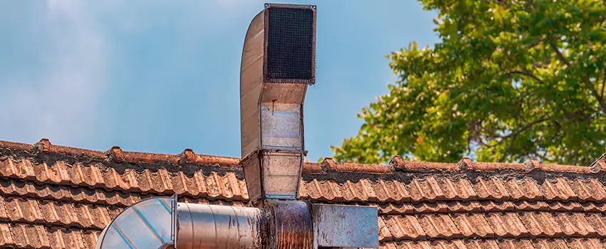 Chimney Blockage Removal in Coon Rapids, Minnesota