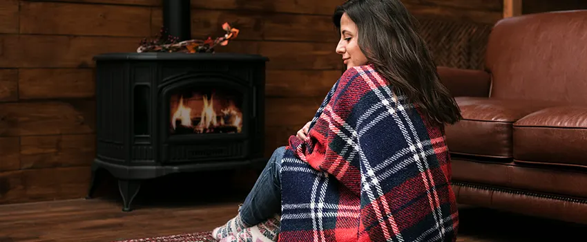 Fireplace Firebox Grate Replacement Services  in Coon Rapids, Minnesota
