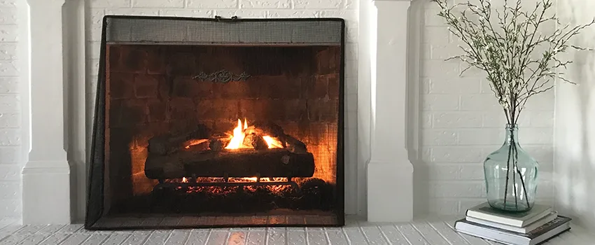 Cost-Effective Fireplace Mantel Inspection And Maintenance in Coon Rapids, MN
