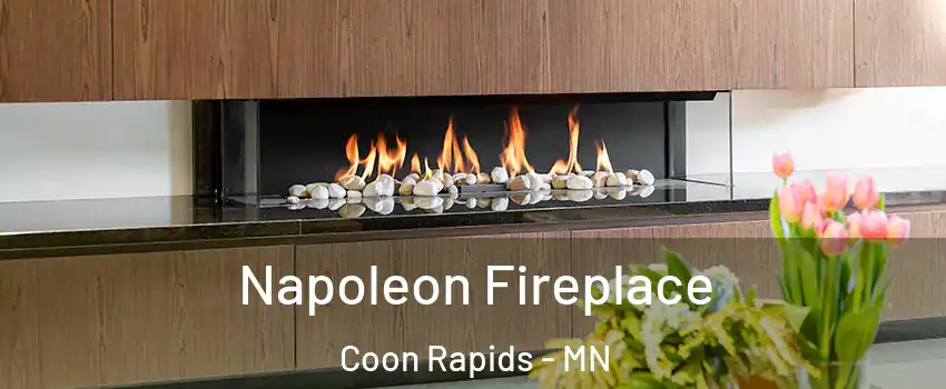  Napoleon Fireplace Coon Rapids - MN