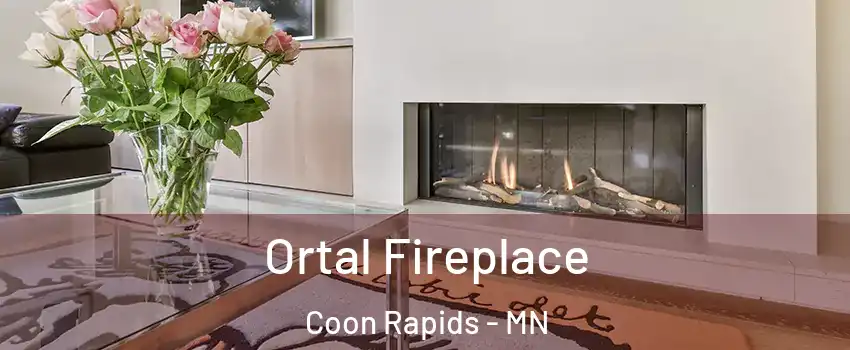 Ortal Fireplace Coon Rapids - MN