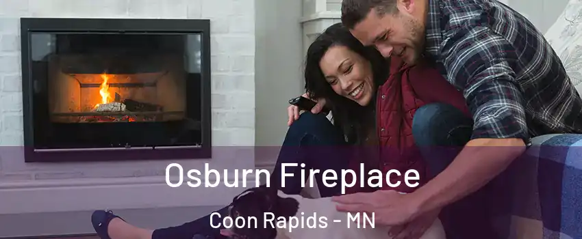  Osburn Fireplace Coon Rapids - MN